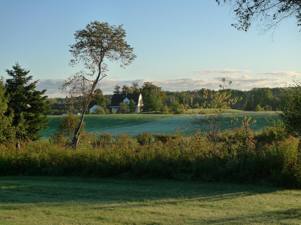 Forest Haven Inn Tatamagouche Eksteriør bilde